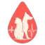 The Animal Life Line Network