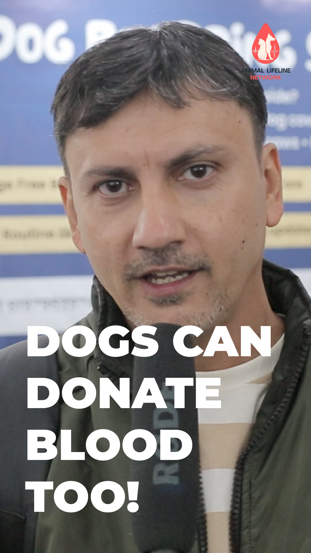Why Dog Blood Donation Can Save Lives