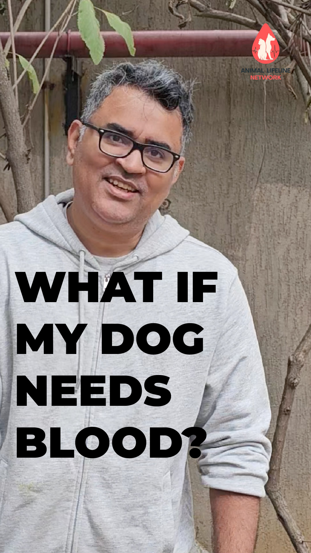 A Dog Blood Bank Could Save Our Pets One Day | Pet Parent Story